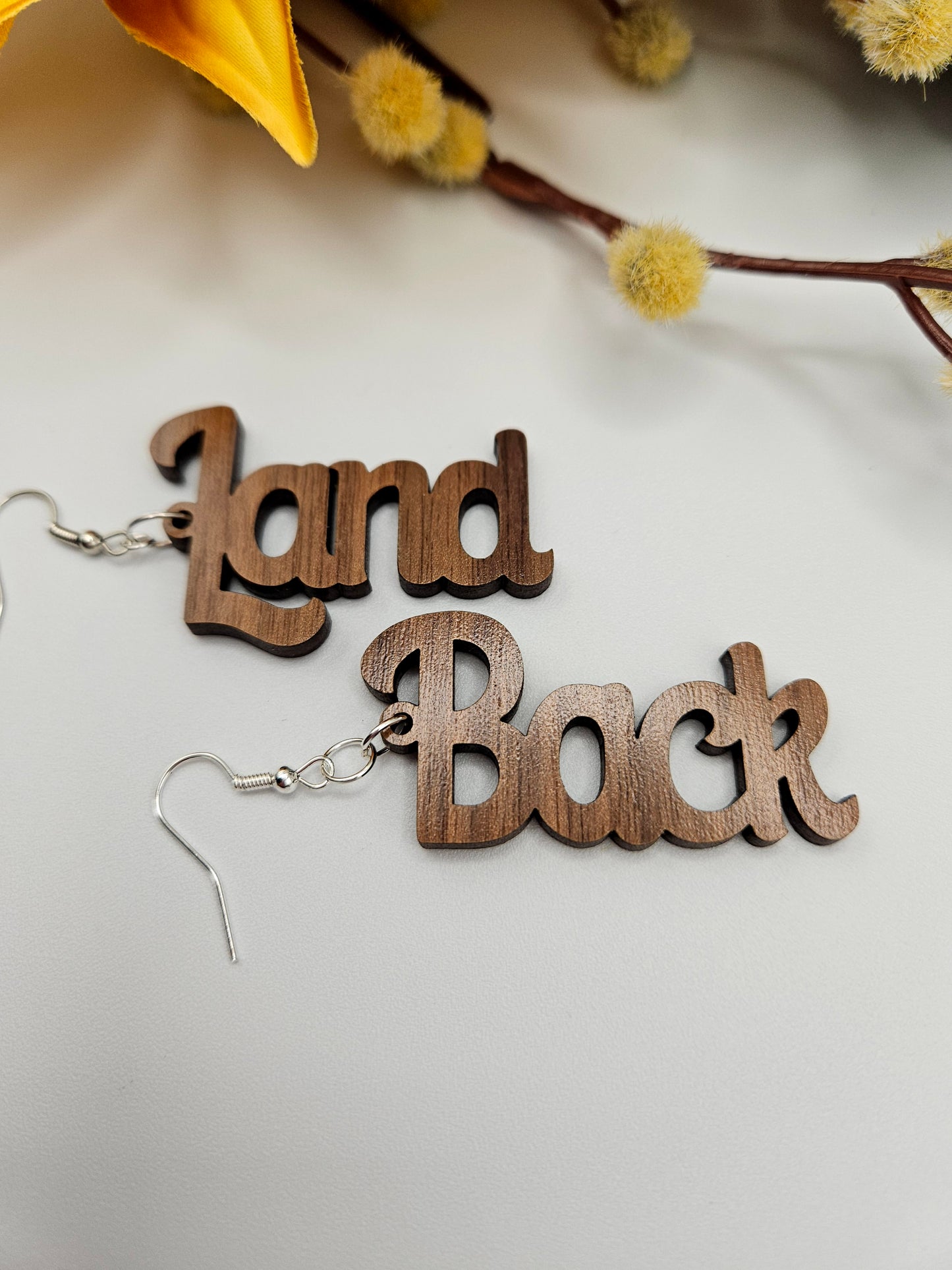 Land Back Earrings