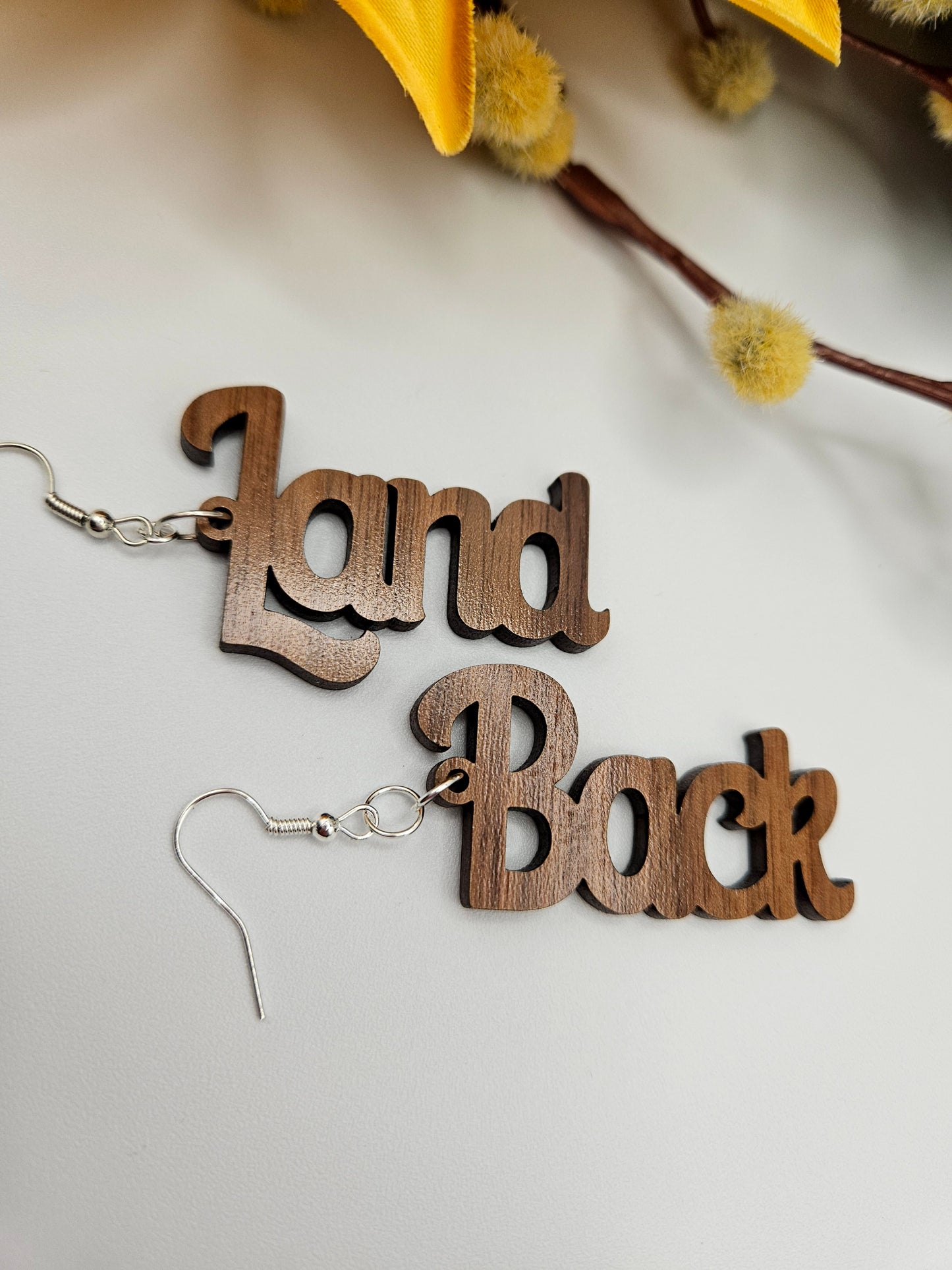 Land Back Earrings