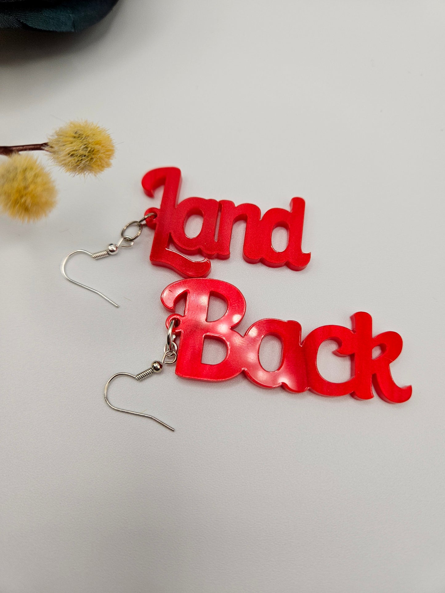 Land Back Earrings