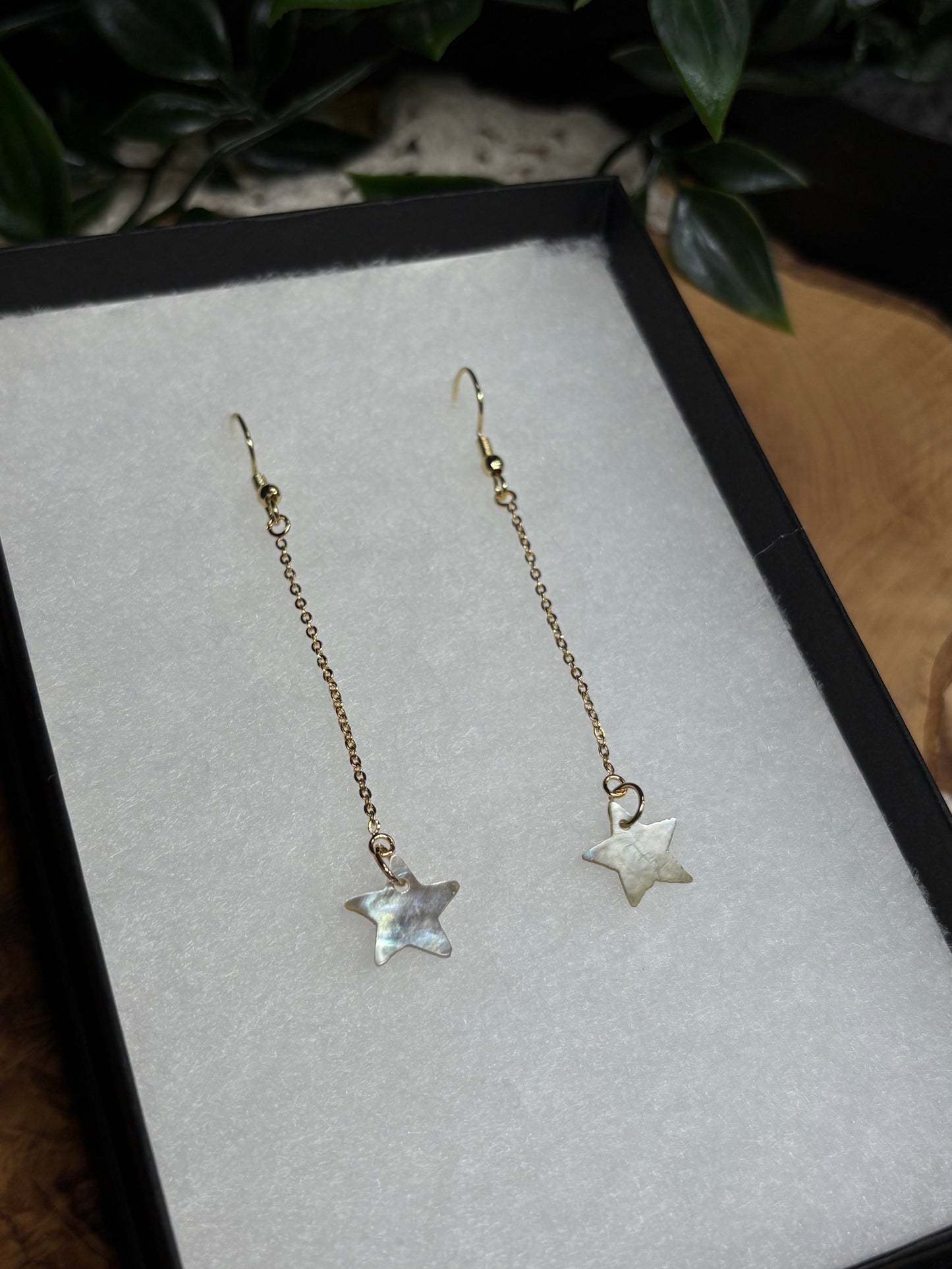 Star Shell Drop Earrings